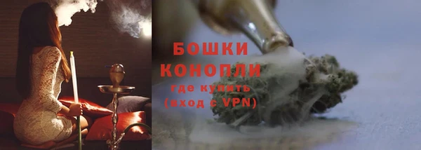 стафф Михайловск